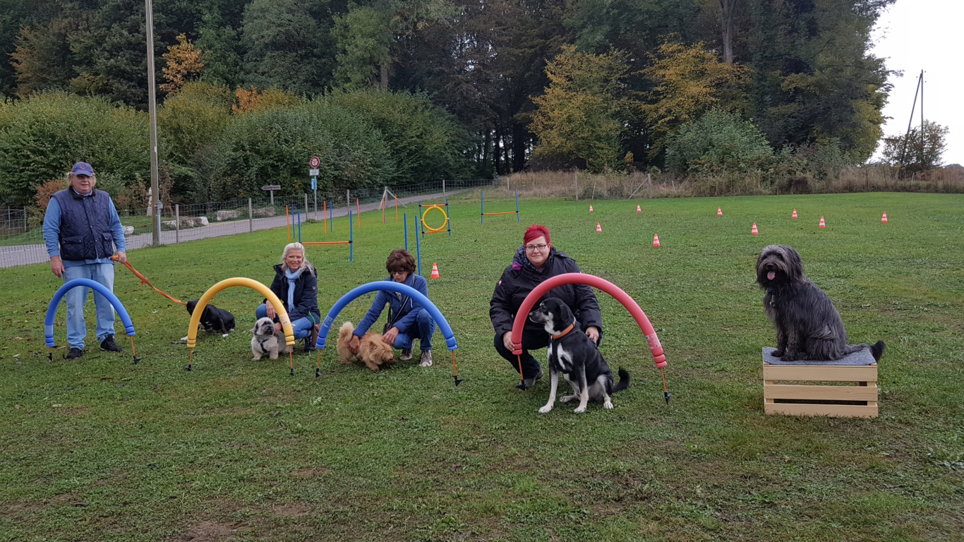 Platz mit Hund und Leute